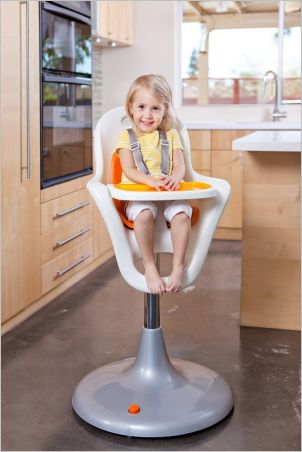 Toddler High Chair